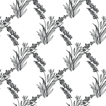 Wildflower lavender flower pattern in a one line style. Outline of the plant: Black and white engraved ink art lavender. Sketch wild flower for background, texture, wrapper pattern, frame or border.