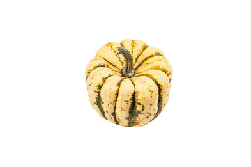 Ripe green pumpkin isolated on white background. Whole squash, traditional festive element