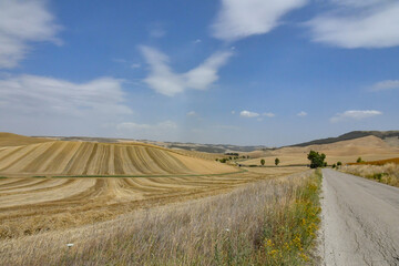 Obraz premium A road among the wheat fields in a landscape of Basilicata, Italy.