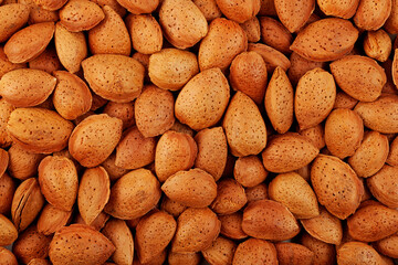 Dried almonds in a shell, close-up. Design element