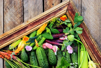 fresh vegetables assorted framed by wooden frame close-up selective focus, organic vegetables