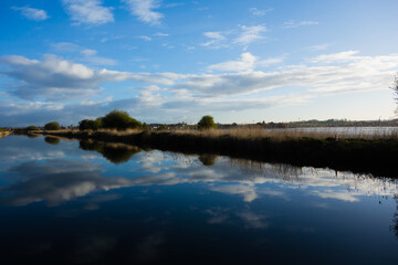 sunrise at the Exeter Ship Canal with a few clouds reflected in the still water and a clear blue sky