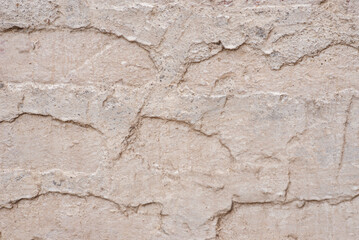 White painted wall as a background.