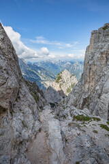 Beautiful nature. Mountain hiking Trail Road. Italy Malga Montasio Forca Disteis