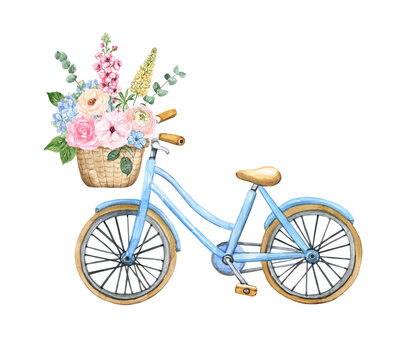 Pretty pastel blue bicycle with a basket and flowers. Watercolor hand-painted illustration, isolated on white background.