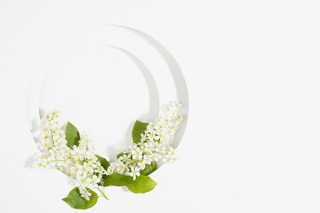 Spring white blank round arch for text mockup with white bird cherry flowers, green leaves in hard...