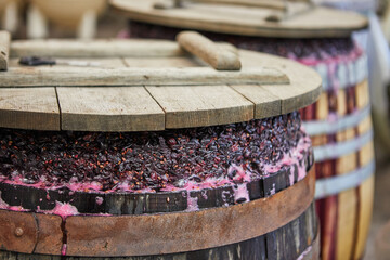 fermentation of grapes in a barrel for making wine