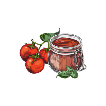 recommend clip art: Fresh tomato sauce or ketchup in glass mason jar, sketch vector illustration isolated on white background.