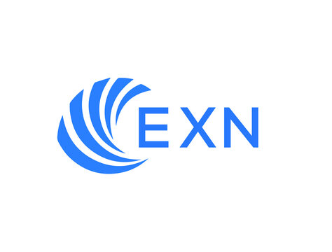 EXN Flat accounting logo design on white background. EXN creative initials Growth graph letter logo concept. EXN business finance logo design.
