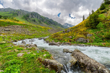 Elevit Plateau view in Rize Province of Turkey