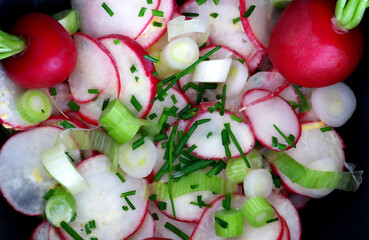 Radieschen, Radieschensalat, Lauchzwiebel, Schnittlauch, 
Salat, Salatdressing, Garten, Bio, Pfeffer, Gemüse, Dressing,
Rapsöl, Essig, Senf, Garten, Gesund, Vitamine, Calcium,
Kalium, Magnesium, Natri