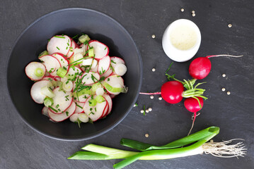 Radieschen, Radieschensalat, Lauchzwiebel, Schnittlauch, 
Salat, Salatdressing, Garten, Bio, Pfeffer, Gemüse, Dressing,
Rapsöl, Essig, Senf, Garten, Gesund, Vitamine, Calcium,
Kalium, Magnesium, Natri