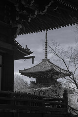 真如堂の三重の塔、京都