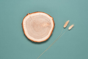 Wooden podium and dry grass lagurus on a turquoise pastel background. Mockup for presentation of cosmetic product. Eco products concept. Top view, flat lay.