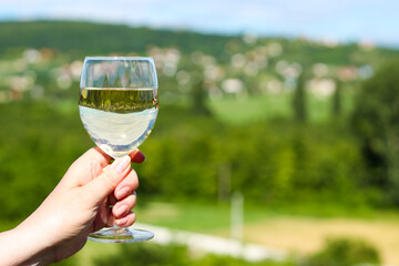 Fototapeta premium Female hand holding a glass of white wine on a blurred valley background with vineyards. Selective focus