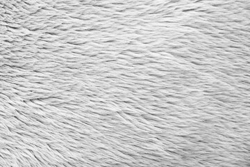 White fluffy fur fabric wool texture background