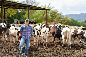 Obraz premium farmer cowboy at cow farm ranch
