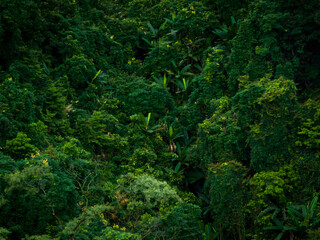Fototapeta na wymiar Aerial view of beautiful tropical forest mountain landscape