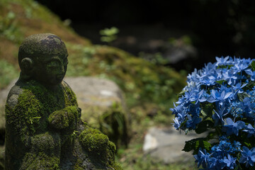 岡寺の苔むした石仏とアジサイ