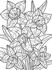 Narcissus flower, plant. Home plant with large leaves. Zen-tangle style. Hand draw