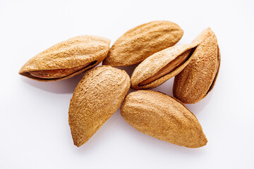 fresh almonds in shell on a white background