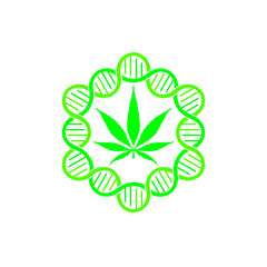 marijuana medicine logo vector