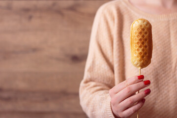 Girl holds a corn dog with copy space