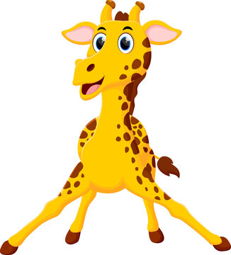 Cartoon Cute giraffe isolated on white background