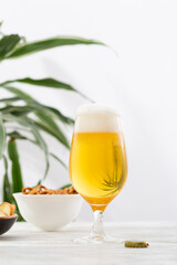 One glass light beer with foam overflowing amber beverage and snack