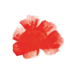 The peony is red. Vector watercolor.A watercolor flower on a white background.