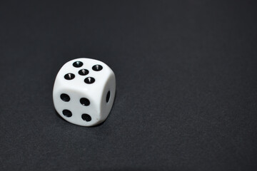 White dice close up on black background