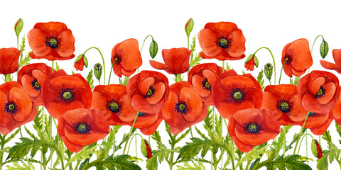 Red poppies. Floral seamless horizontal border with hand-painted watercolor flowers. Summer flowers. - obrazy, fototapety, plakaty