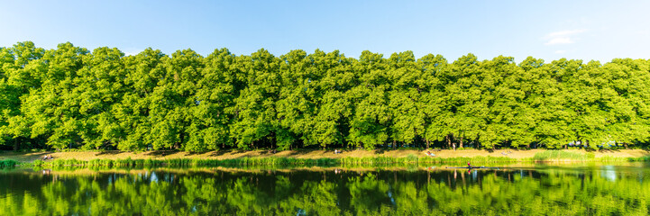 Green trees on the banks of the Elster flood bed at the Clara-Zetkin-Park in Leipzig