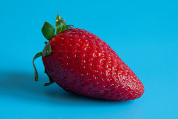 one big strawberry isolated on blue background