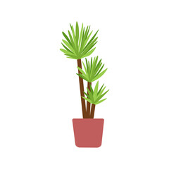 Vector yucca tree in pot. Common yucca illustration. Indoor green-leaf houseplant in planter. Flat vector illustration of a homeplant isolated on white background