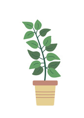 Ficus in a flower pot. Vector doodle flower with leaves for room decoration.
