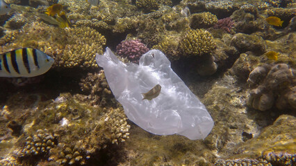 Plastic pollution of the Ocean, a discarded wtite plastic bag on tropical coral reef, on the blue...