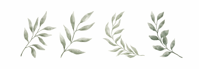 Greenery Leaves Watercolor Hand Drawn. Set of green leaf in watercolor style isolated on white background. Decorative beauty elegant illustration collection for design