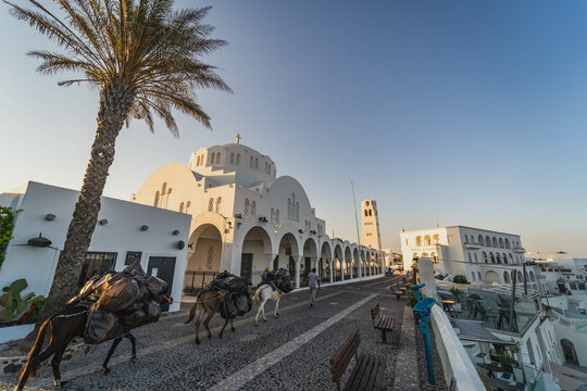 Streets in the city of Fira, Santorini. Horse-drawn goods transport.


