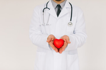 The male cardiologist doctor holding heart on white background
