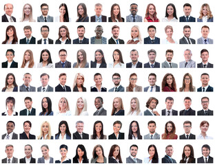 portraits of successful employees isolated on a white