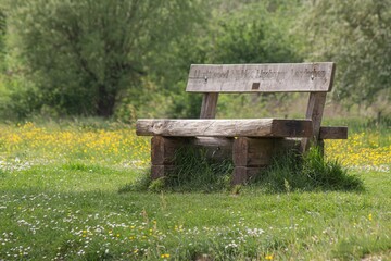Old wooden bench on the grass to enjoy the nature in the field - Powered by Adobe