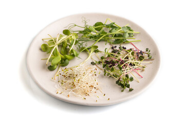 White ceramic plate with microgreen sprouts of green pea, sunflower, alfalfa, radish isolated on white. Side view.