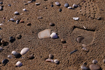 footprints in the sand