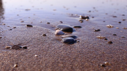 footprints in the sand