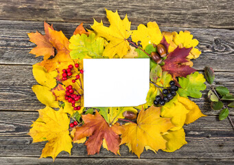 Frame of autumn leaves on the wooden background.