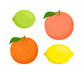 Set of citrus fruits. Vector flat illustration of orange, grapefruit, lemon and lime isolated on white.