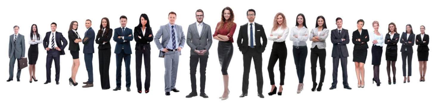 panoramic photo of a professional numerous business team