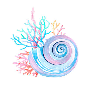 Watercolor illustration of seashell and corals. Marine composition.