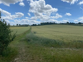 British summer, countriside landscape in a sunny day, some white cloud on the horison about the fields, relazing background